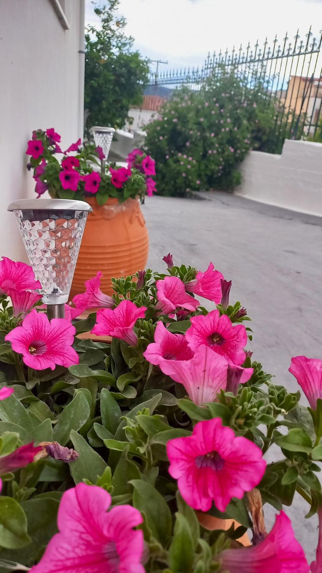 Triζin Apartment Galatas  Exterior photo